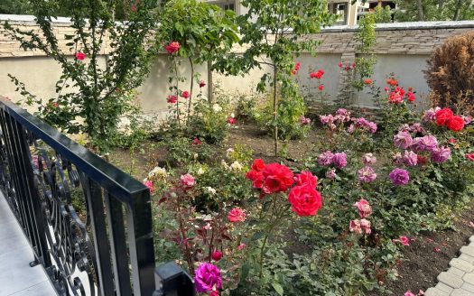 Zwei-Zimmer-Wohnung mit Terrasse in Magnolia 6 ID: 35025