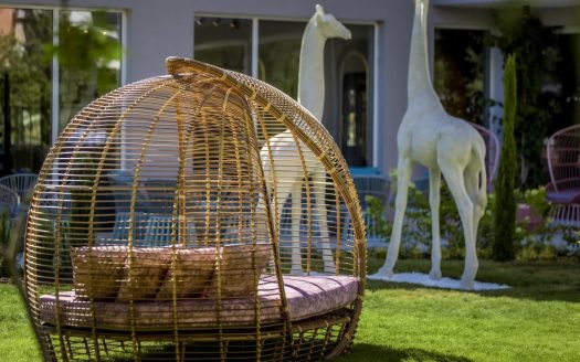 Studio mit Blick auf den Pool in Sonnenstrand ID: 36349